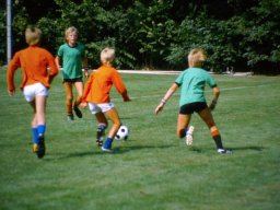 0DIA 1985 RAVA PUPS 1